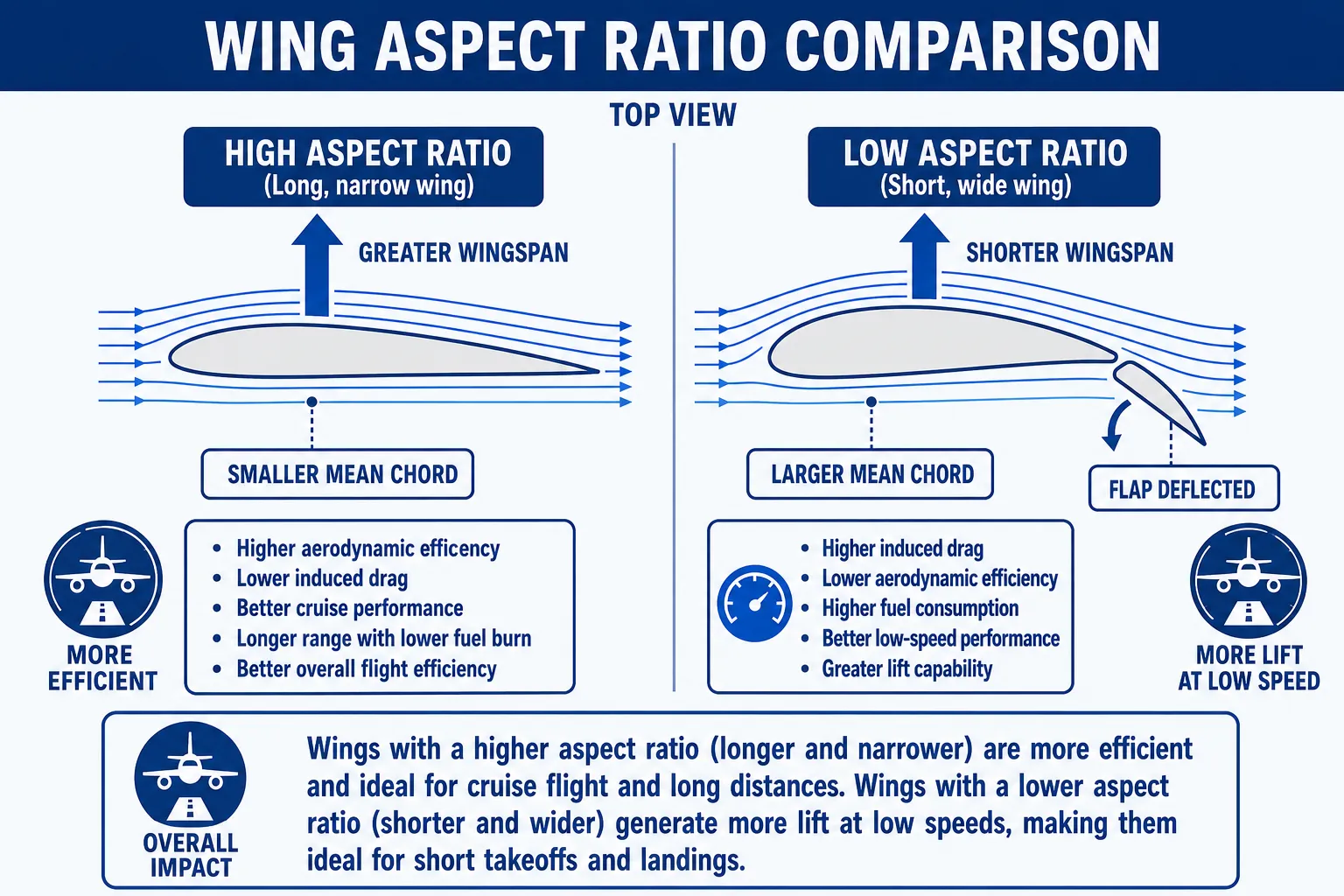 Wing aspect ratio comparison between long narrow wings and short wide wings